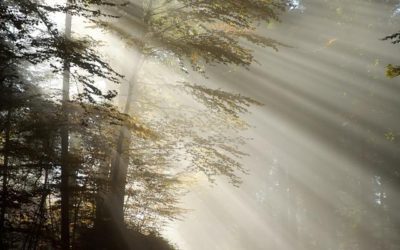 Learn How To Avoid The Headaches Of Travel