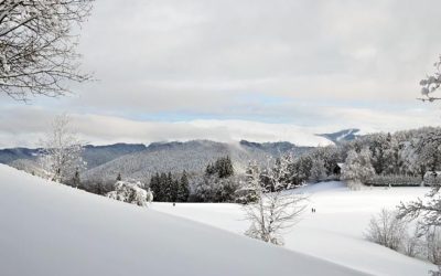 Wise Travel Tips And Tricks From Frequent Travelers