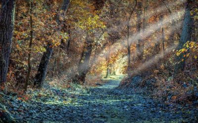 Pack Your Bags And Hit The Road With These Tips