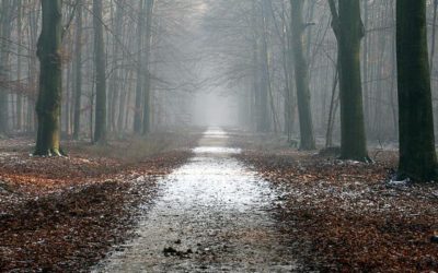 Want Top Tips About Travel? Check Out The Helpful Article Below