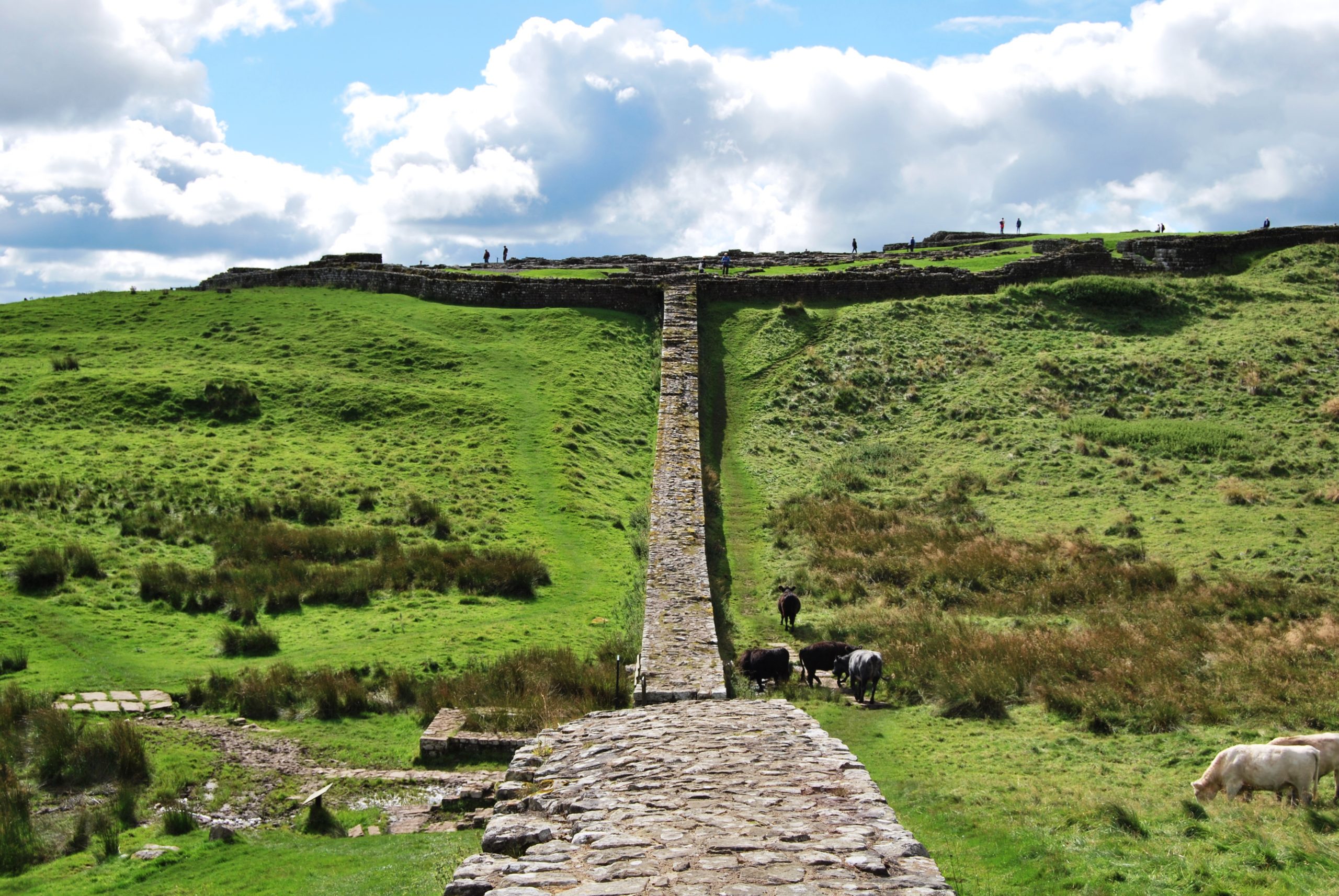 Hadrian's Wall Path