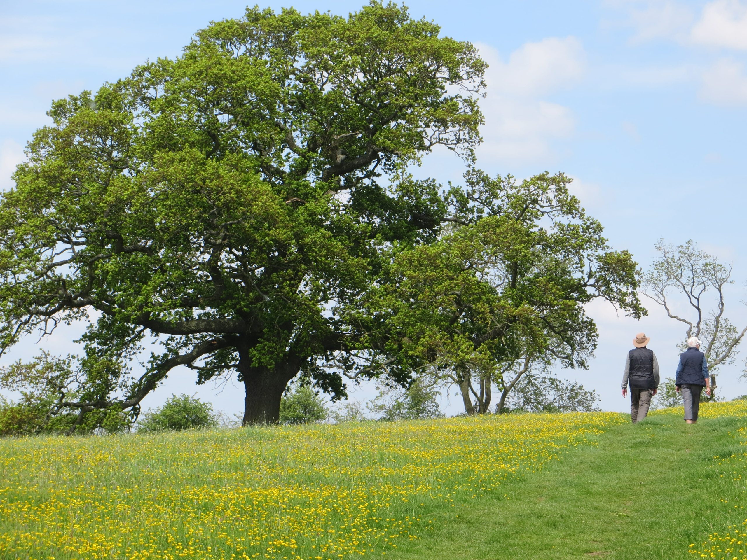 Cotswold_Way_Hillwalk_Tours