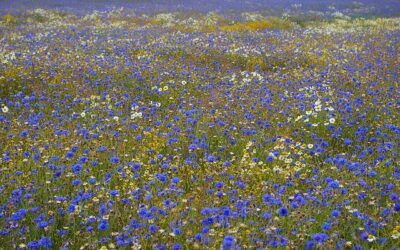 Travel Ideas That Can Help You Build A Better Adventrure