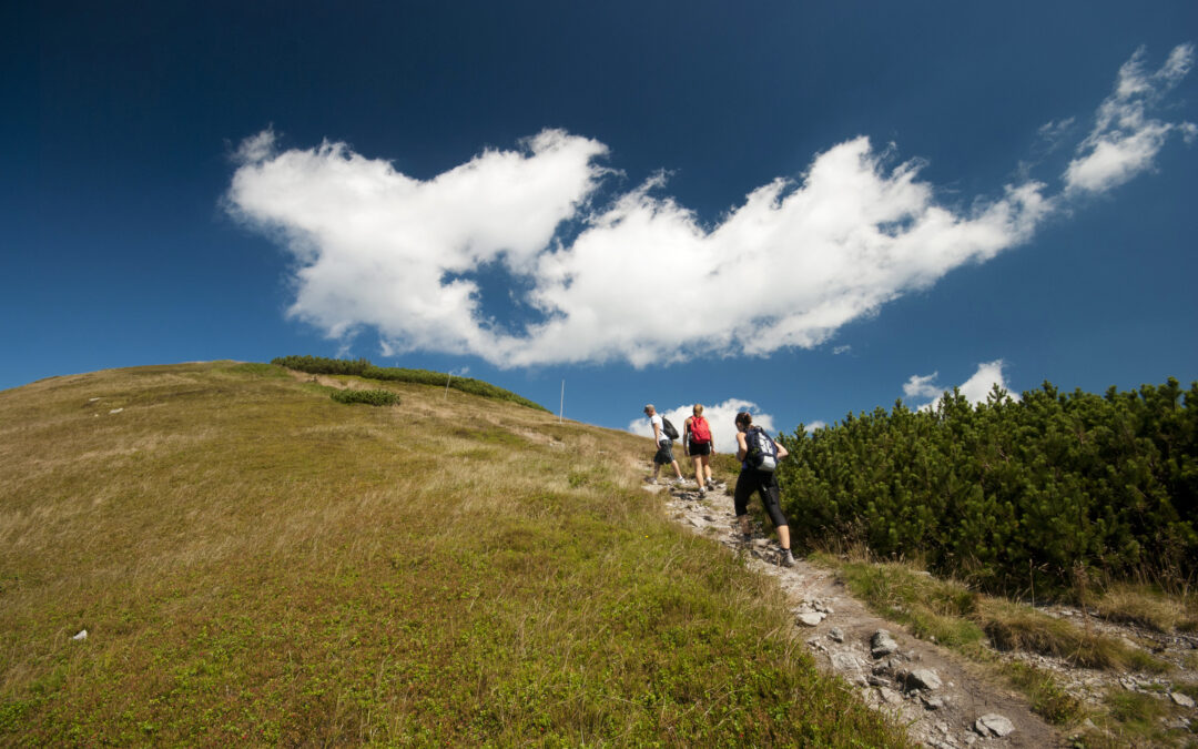 Trek Through These 5 Breathtaking Hiking Trails and Experience Adventure at Its Finest