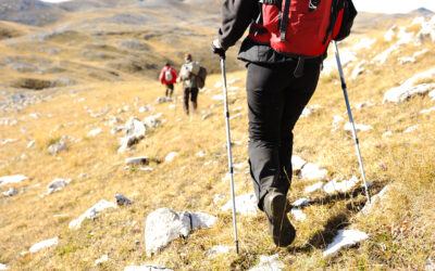 Escape the City and Find Peace on These Serene Hiking Trails
