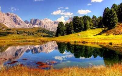 How To Get Competetive Rates On Travel Expenses