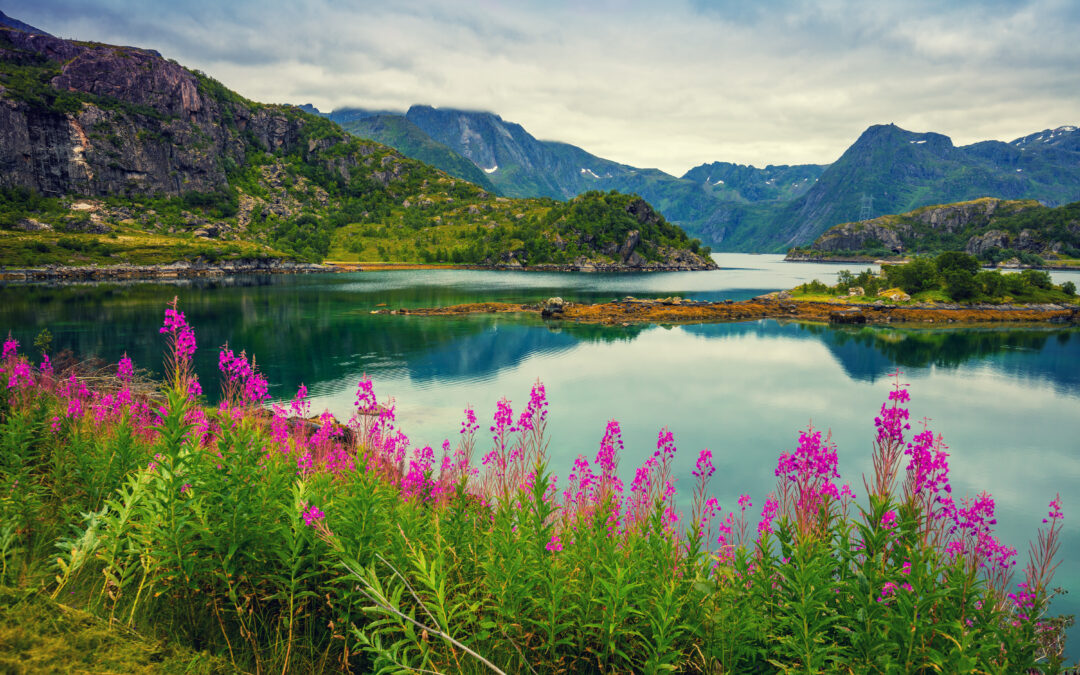 Get Off the Beaten Path: Unique Hiking Trails That Offer a True Backcountry Experience