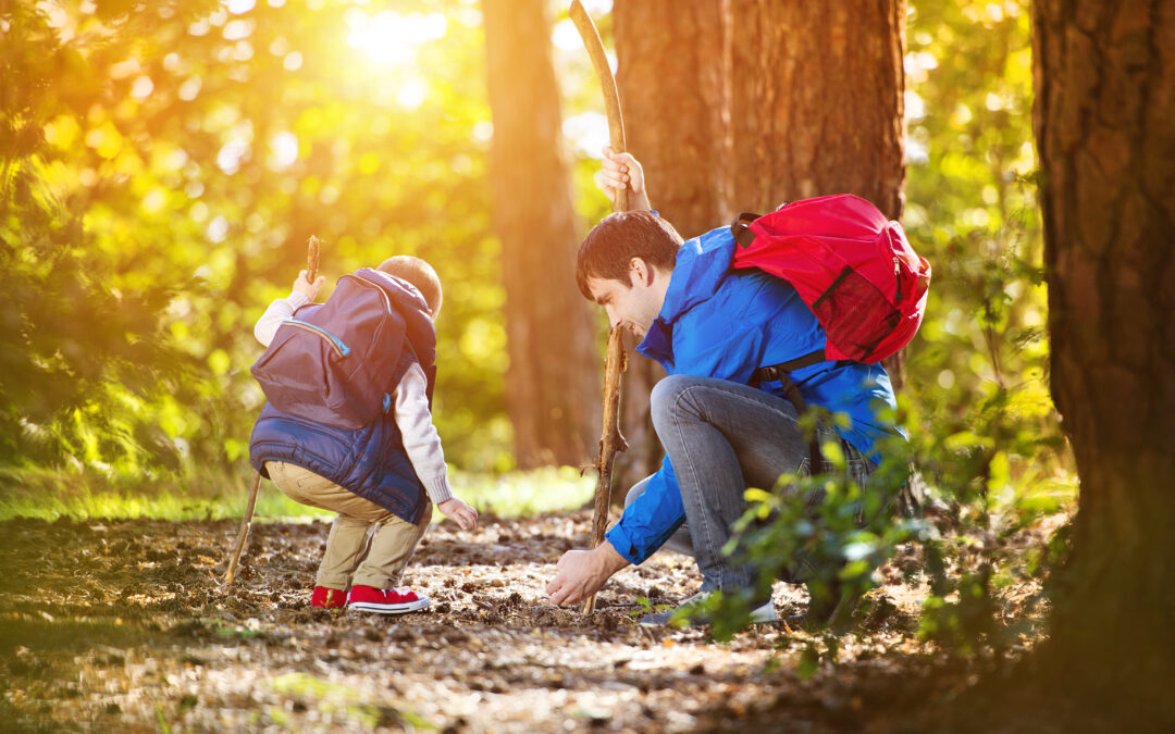 From Mountains to Forests, Here are 5 Breathtaking Hiking Trails You Can’t Miss Out On