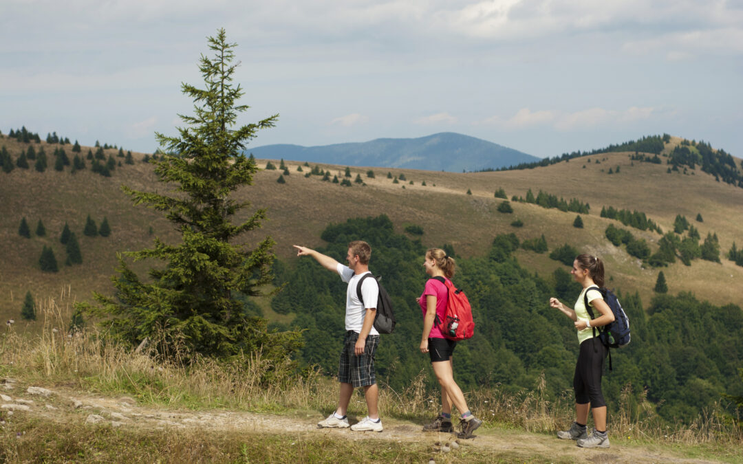 Escape the City and Find Peace on These Serene Hiking Trails