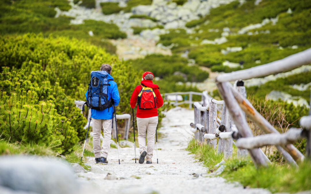 Take a Hike! How to Stay Safe While Exploring Remote Hiking Trails