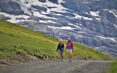 Stop And Read This Article If You Need Help With Travel