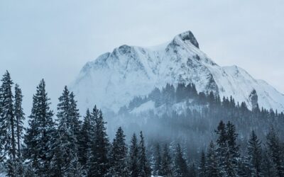 Travel Tips At Your Fingertips